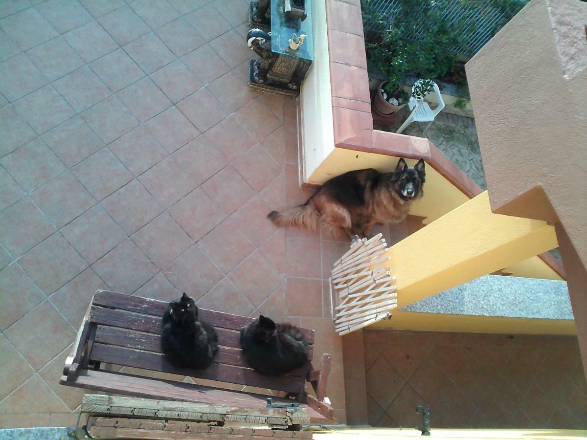 B&B Villa Sul Golfo Quartu SantʼElena Kültér fotó